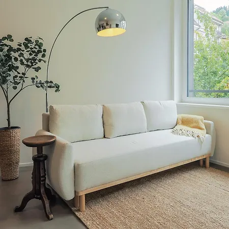 Daire Wyba Living - Modernes - Gratis Oev - Ruhig & Zentral St. Gallen